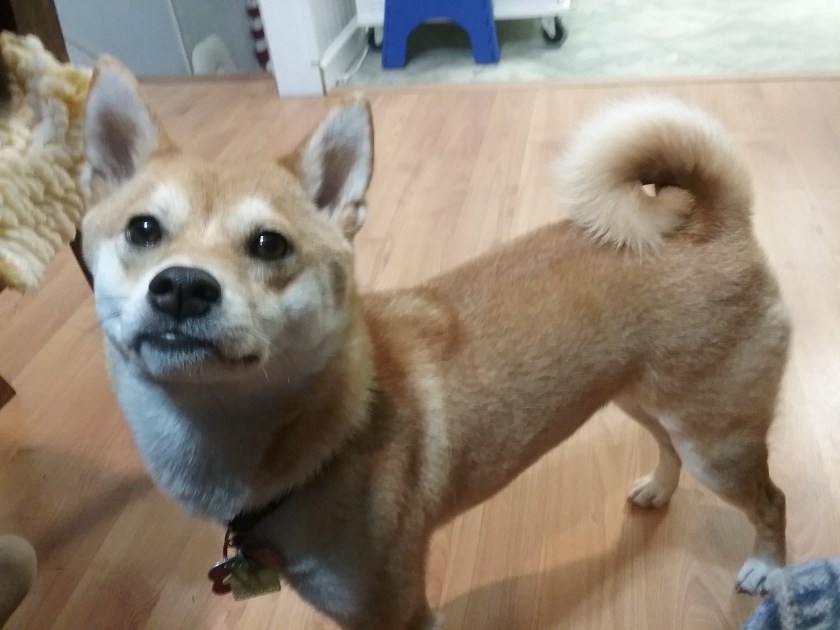 15160707938871847688798